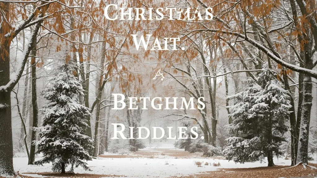 Christmas Riddles