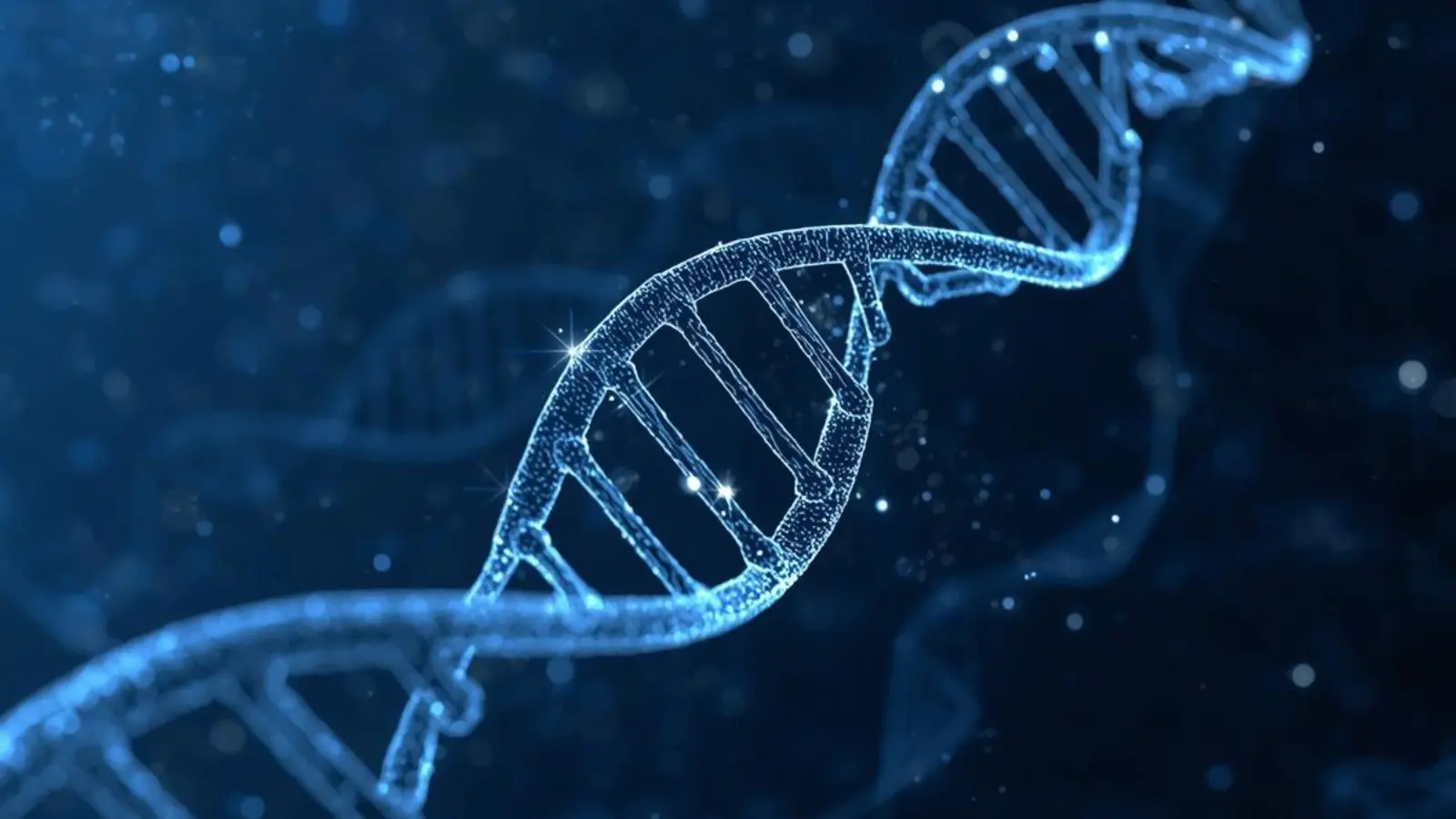 what does transcribe mean